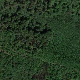 Satellite imagery of Buchenberg, DE