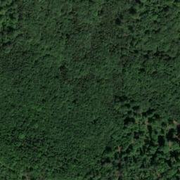 Satellite imagery of Buchenberg, DE