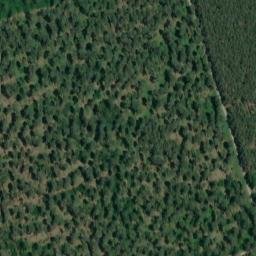 Satellite imagery of Lehmberg, DE