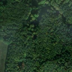 Satellite imagery of Ehrberg, DE