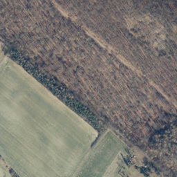 Satellite imagery of Steinberg, DE