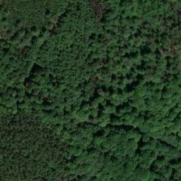 Satellite imagery of Buchenberg, DE