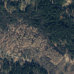 Satellite imagery of Tanzberg, DE