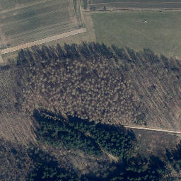 Satellite imagery of Hoherodt, DE