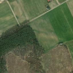 Satelita