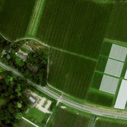 Satellite imagery of survey_point, NL