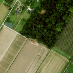 Satellite imagery of survey_point, NL