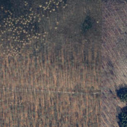 Satellite imagery of Hoher Kamp, DE