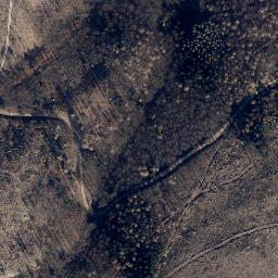 Satellite imagery of Kurtsberg, DE