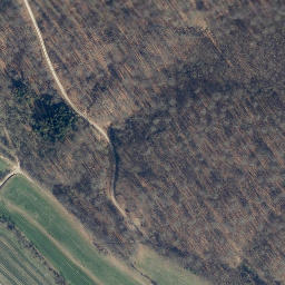 Satellite imagery of Spielberg, DE