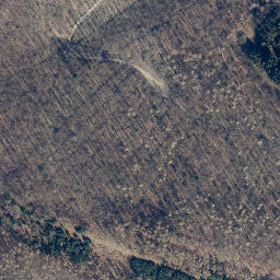 Satellite imagery of Idtberg, DE