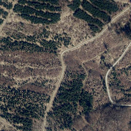 Satellite imagery of Sangenberg, DE