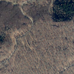 Satellite imagery of Junkernberg, DE