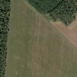 Satellite imagery of Eichenberg, DE
