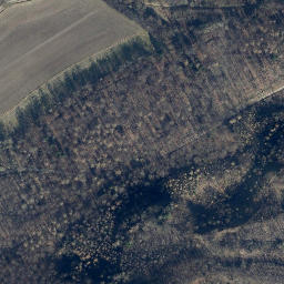 Satellite imagery of Großer Sülteberg, DE