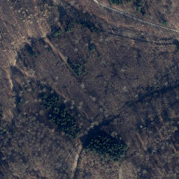 Satellite imagery of Große Krautliet, DE
