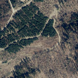 Satellite imagery of Sangenberg, DE