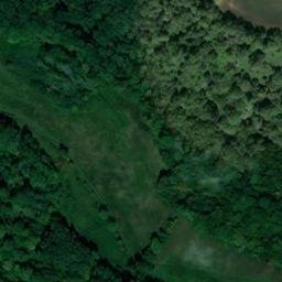 Satellite imagery of Tilty Abbey, GB