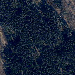 Satellite imagery of Schweinsberg, DE