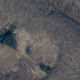 Satellite imagery of Hahnberg, DE