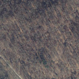 Satellite imagery of Schweinsrücken, DE