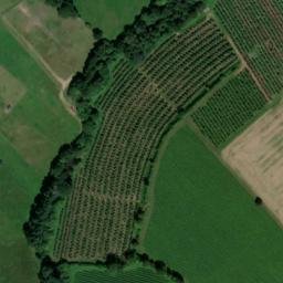 Satellite imagery of Boulsdon Manor, GB