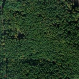 Satellite imagery of Stadt-Berg, DE