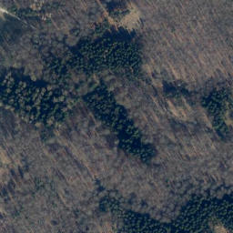 Satellite imagery of Hahnberg, DE