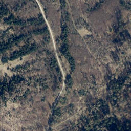 Satellite imagery of Dittmarsberg, DE