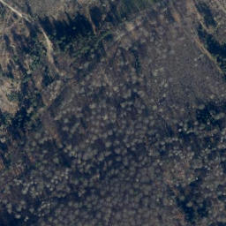 Satellite imagery of Dittmarsberg, DE