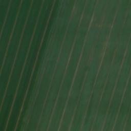 Satellite imagery of Dardesheimer Höhe, DE