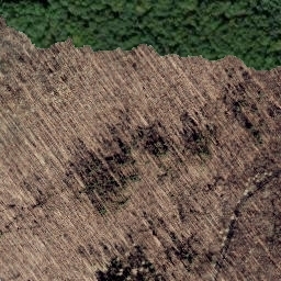 Satellite imagery of survey_point, DE