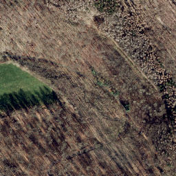 Satellite imagery of survey_point, DE