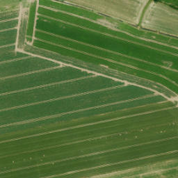 Satellite imagery of Havezate Camphuysen, NL