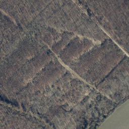 Satellite imagery of Hohe Egge, DE