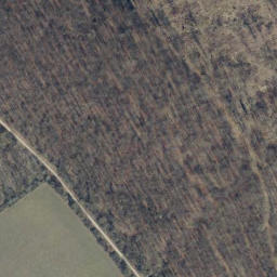 Satellite imagery of Hohe Egge, DE