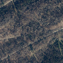 Satellite imagery of Wittenberg, DE