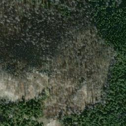 Satellite imagery of Bald Mountain, CA