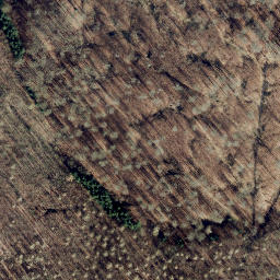 Satellite imagery of Bennerberg, DE