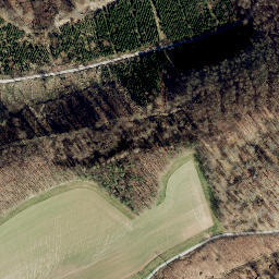 Satellite imagery of Steinerberg, DE