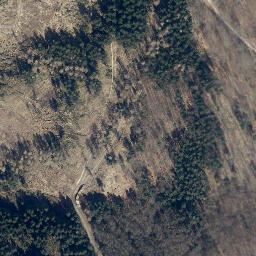 Satellite imagery of Mittelberg, DE