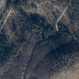 Satellite imagery of Wittenberg, DE