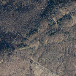 Satellite imagery of Wittenberg, DE