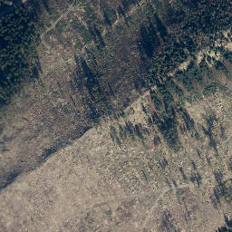 Satellite imagery of Lütgenberg, DE
