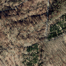 Satellite imagery of Steinerberg, DE