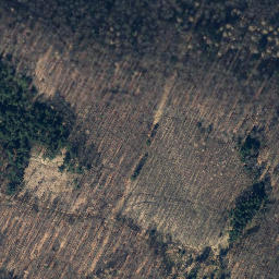 Satellite imagery of Till, DE