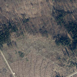 Satellite imagery of Steinbühl, DE