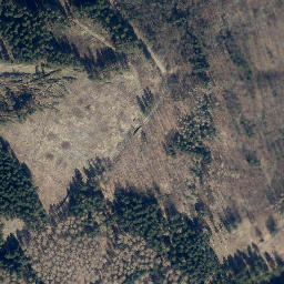 Satellite imagery of Mittelberg, DE
