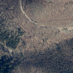 Satellite imagery of Wittenberg, DE