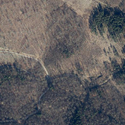 Satellite imagery of Wittenberg, DE